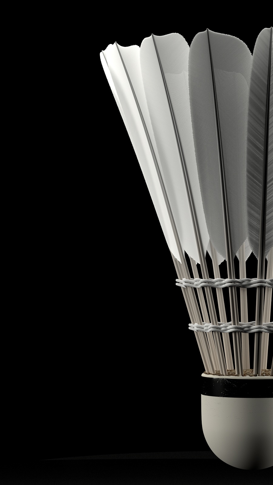 她对比赛节 她对比赛节