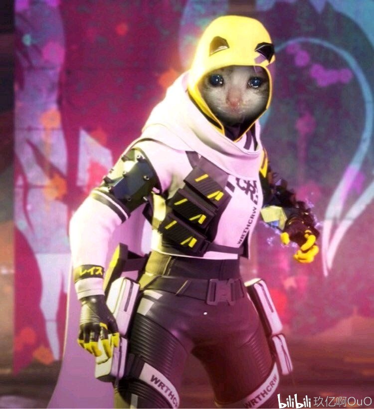 江苏女排与 江苏女排与